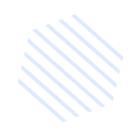 SVN